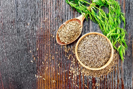 Cumin seeds in a bowl, spoon and on the table, a green sprig of caraway on wooden board background from above