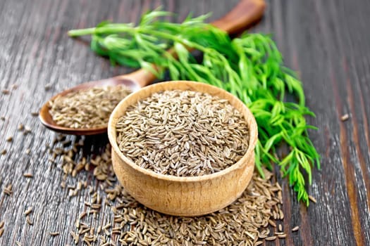 Cumin seeds in a bowl, spoon and on the table, a green sprig of caraway on dark wooden board background