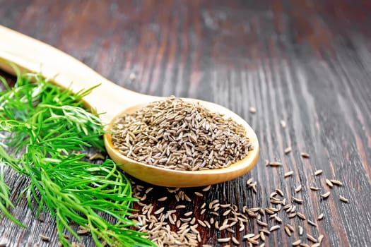 Cumin seeds in spoon and on the table, a green sprig of caraway on the background of wooden board