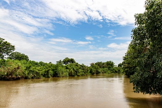 A picture of a riverside landscape in Thailand during the day. The sunlight is bright, with trees covering the shore. blue sky