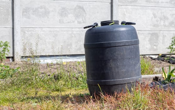 Large black plastic barrel with water in the summer garden. Rainwater tank in the garden, hot summer day. Barrels for watering the garden