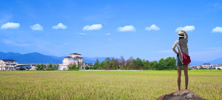 The Landscape View Of Beautiful Paddy Field With Sunrise At Brown Avenue , Chishang, Taitung, Taiwan