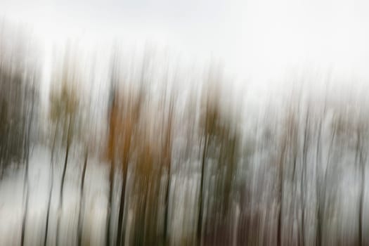 Motion blurred foliage and trees in autumn