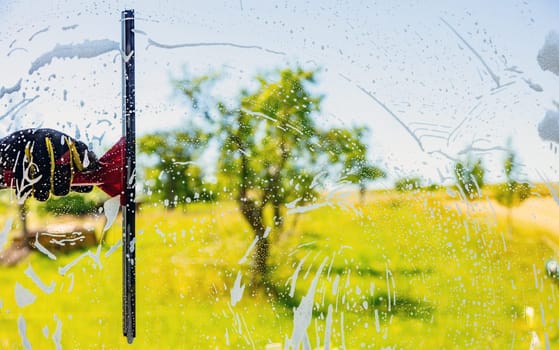 Professionell window cleaning Service with squeegee on a sunny Day