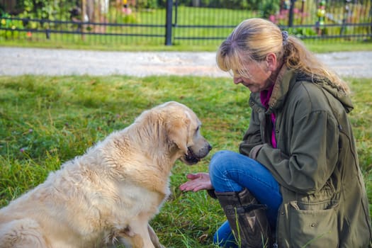 Beige senior Golden Retriever gives paw to her female owner
