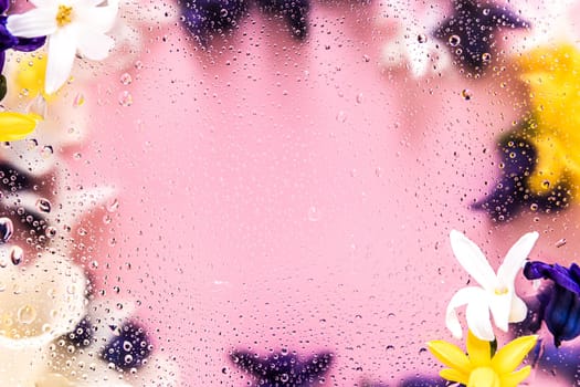 Floral background. Various daffodil flower heads, hyacinth blurred top view flat lay with water drops on the glass. Deep purple, pink, white, yellow colors. Copy space for text. High quality photo