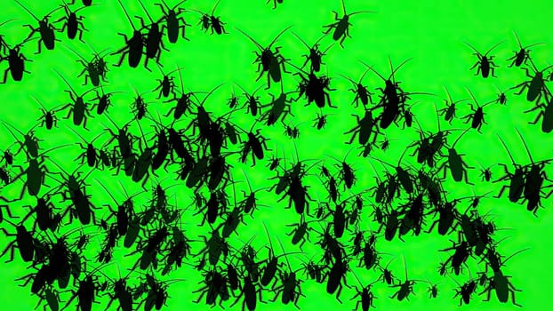 Bugs On Green Screen Silhouette,Bugs On Green Screen Silhouette