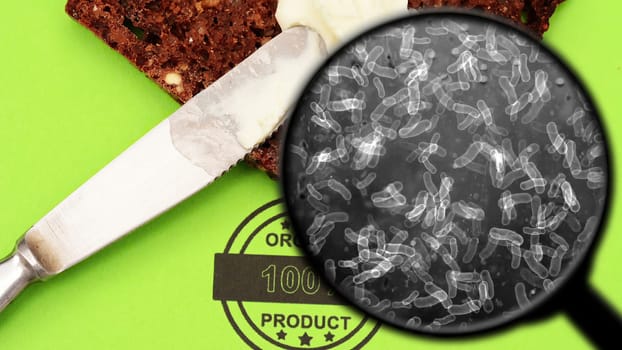 Searching for bacteria in bread,Searching for bacteria in bread