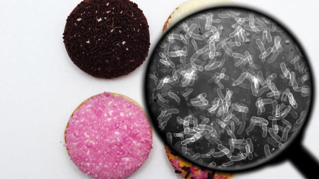 Searching for bacteria in sweets,Searching for bacteria in sweets