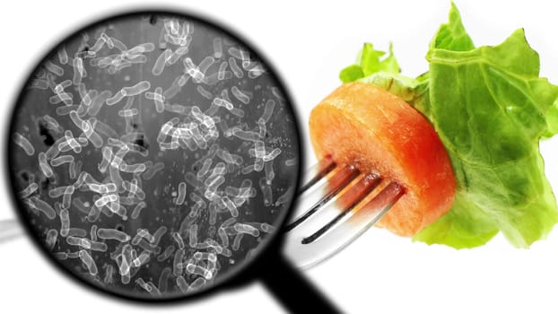 Searching for bacteria in vegetables,Searching for bacteria in vegetables