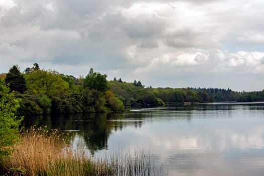 Virginia Water Lake in Windsor Great Park, United Kingdom