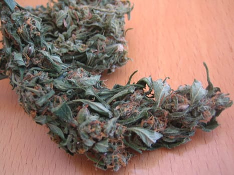 Cannabis retro in creta island hippie super lemon haze vintage illegal background prints