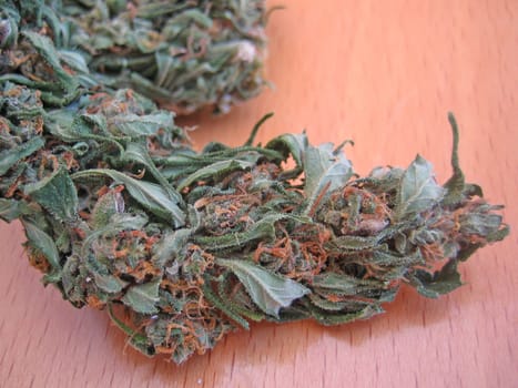 Cannabis retro in creta island hippie super lemon haze vintage illegal background prints