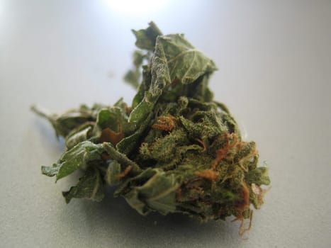 Cannabis retro in creta island hippie super lemon haze vintage illegal background prints