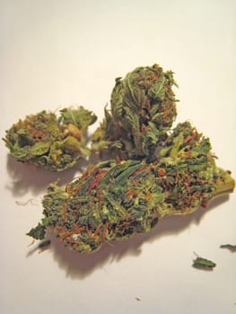 Cannabis retro in creta island hippie super lemon haze vintage illegal background prints