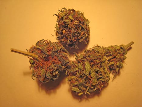 Cannabis retro in creta island hippie super lemon haze vintage illegal background prints