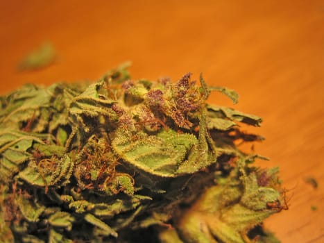 Cannabis retro in creta island hippie super lemon haze vintage illegal background prints
