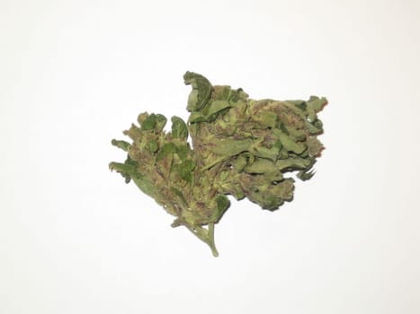 Cannabis medical marihuana creta greece retro background matala 2006 vintage shoot