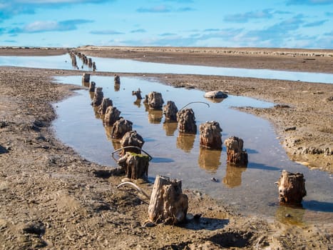 View of the weathered groyne poles on the German North Sea beach in East Friesland at low tide and overcast skies.