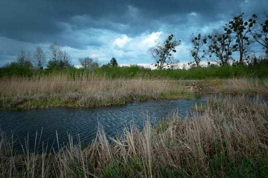 Dark clouds over the pond with reeds, Stankow, Poland