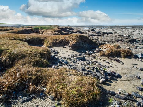 Wide angle landscape view of the North Sea beach at the edge of the salt marshes at low tide and blue sky with white clouds.