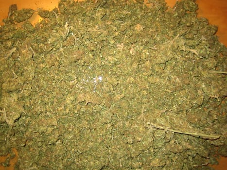 Cannabis medical marihuana creta greece retro background matala 2006 vintage shoot