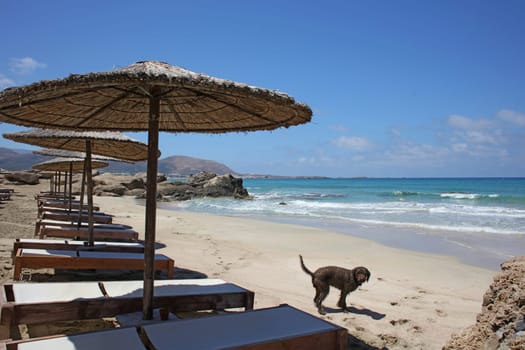 Falassarna beach blue lagoon crete island summer 2020 covid-19 holidays modern high quality prints