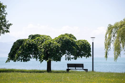 Bench and platanus tree with beautiful view over Lake Constance, Langenargen, Germany