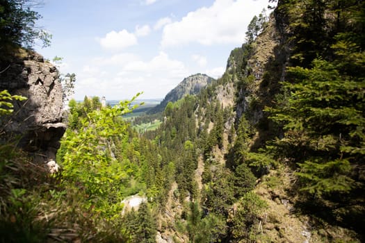 Picturesque spring landscape with the Neuschwanstein Castle, Germany