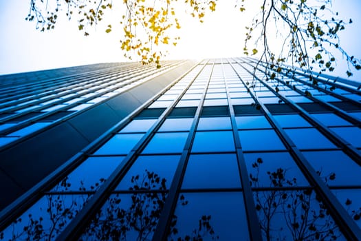 Modern business skyscrapers, high-rise buildings