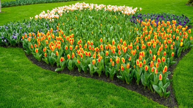 Colorful garden landscape and grassy lawn