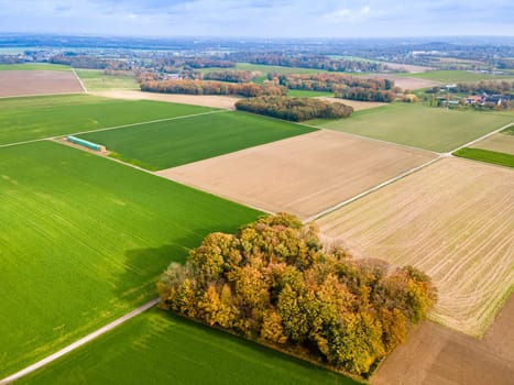 Aerial view of a  pastures and arable land. Panorama over healthy green crops in patchwork pasture farmland