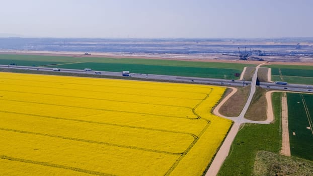 aerial view of rapeseed flower blooming in farmland