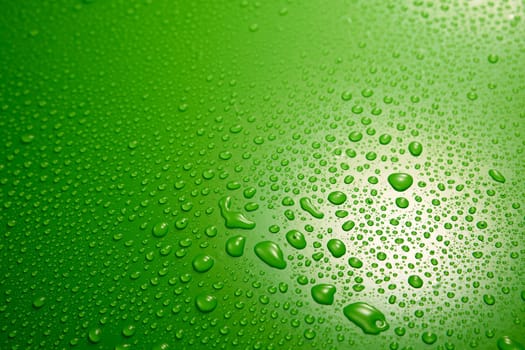 Full frame of wet green background covered with transparent clean water drops with different shapes flowing down in light room