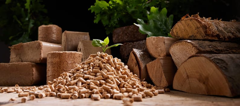Young plant on heap of wood fuel pellets scattered on floor near chopped woodpile of different types and peat briquettes in sunlight