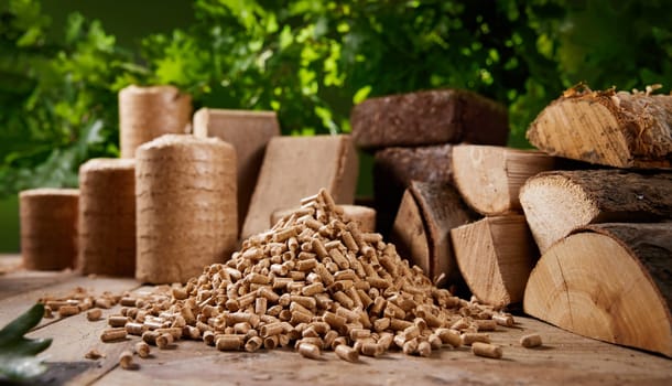 Pyramid of biofuel pellets stacked on wooden table near biomass briquettes and chopped firewood against lush green oak tree