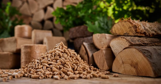 Ground level of heap of compressed wood pellets stacked on floor near chopped firewood of various types with green leaves and biomass briquettes in sunlight