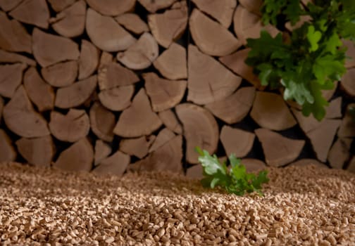 Green oak leaves on heap of fuel pellets scattered near stack of chopped woodpile in sunlight