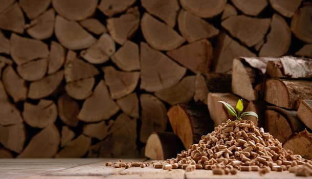 Pyramid of fuel pellets with green leaf on top near stack of chopped firewood in daylight