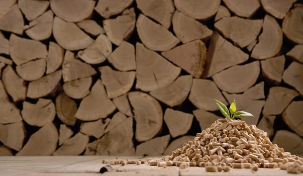 Pile of compressed cylindrical pellets with fresh green leaf scattered on floor against stack of firewood in daylight