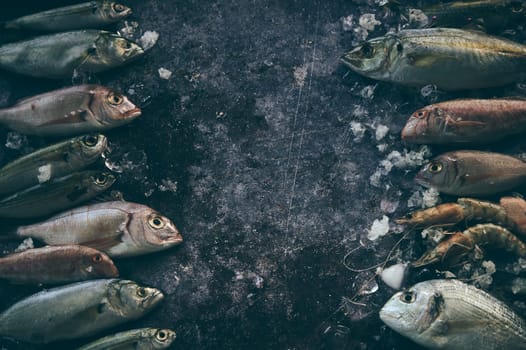 From above rows of raw fish stacked against each other on gray background with ice in light room during cooking preparation