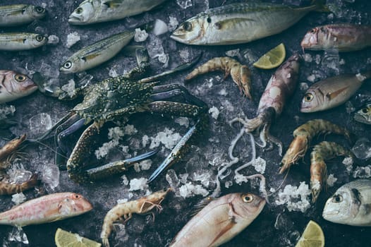 From above different types of raw fish near uncooked shrimp and calamary placed on table with ice and crab during cooking preparation