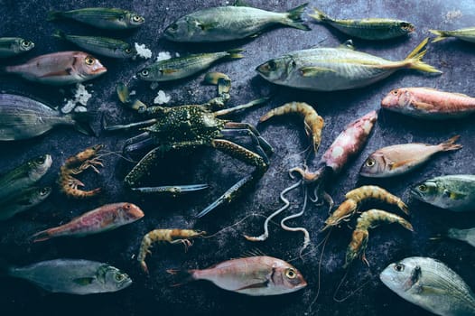 From above various types of raw fish placed on gray background with uncooked crab and shrimps near squad in light room
