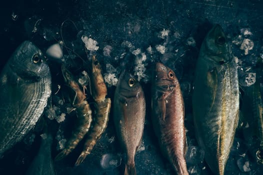Top view different types of uncooked fish with colorful scales near shrimps placed on gray table with ice in light room