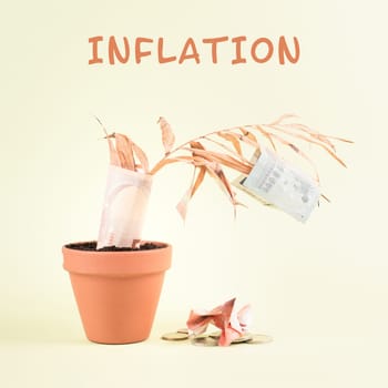 Withered plant in a pot with Euro banknotes falling from the leaves, financial crash, inflation crisis, global economic depression, business bankruptcy
