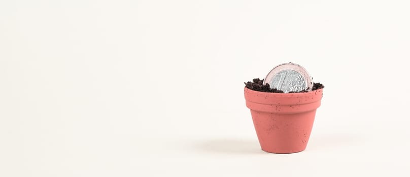 One Euro coin in small flowerpot, money growing, financial planning, profitable investment, hope concept