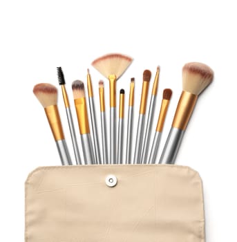 Cosmetics. Make up brushes set over white background. With clipping path