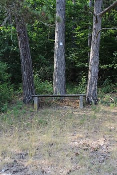 Wooden Bench