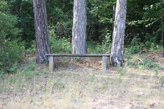 Wooden Bench