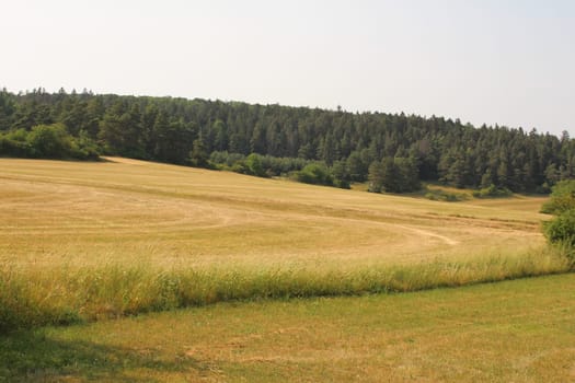 Landscape in Thuringia